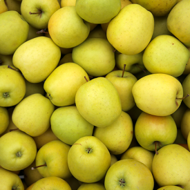 Apfelbaum Golden Delicious