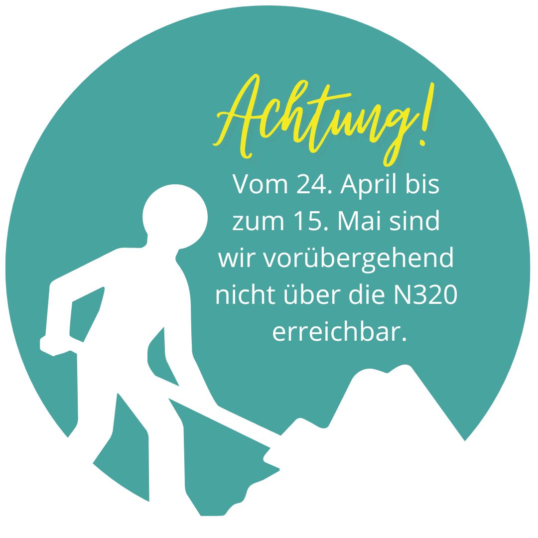 Portugiesischer Kirschlorbeer | Prunus Angustifolia | Schon ab €2
